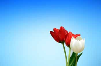 手机号轰炸业务网