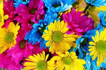 【免安装】便捷的手机号外呼系统