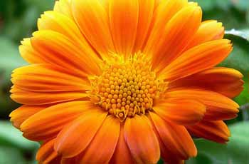 电话验证码轰炸免费